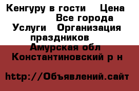 Кенгуру в гости! › Цена ­ 12 000 - Все города Услуги » Организация праздников   . Амурская обл.,Константиновский р-н